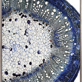 Nature's Abstract III (Canvas)