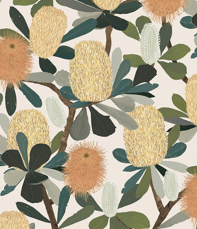 Banksia Bloom Wallpaper