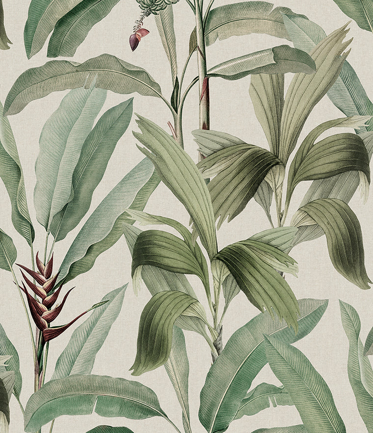 Bellevardi Foliage Wallpaper