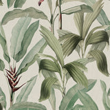 Bellevardi Foliage Wallpaper Canopy / Paste the Wall | Non-Woven Matte / Sample