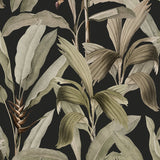 Bellevardi Foliage Wallpaper Charcoal / Paste the Wall | Non-Woven Matte / Sample