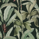 Bellevardi Foliage Wallpaper Forest / Paste the Wall | Non-Woven Matte / Sample