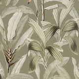 Bellevardi Foliage Wallpaper Haze / Paste the Wall | Non-Woven Matte / Sample