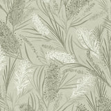 Bushwood Drift Wallpaper Moss / Paste the Wall | Non-Woven Matte / 2.7m (H) x 4.8m (W)
