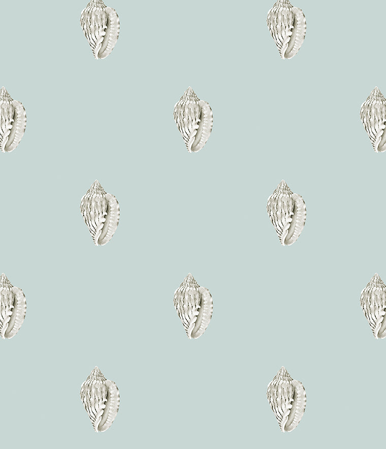 Careel Conch Wallpaper
