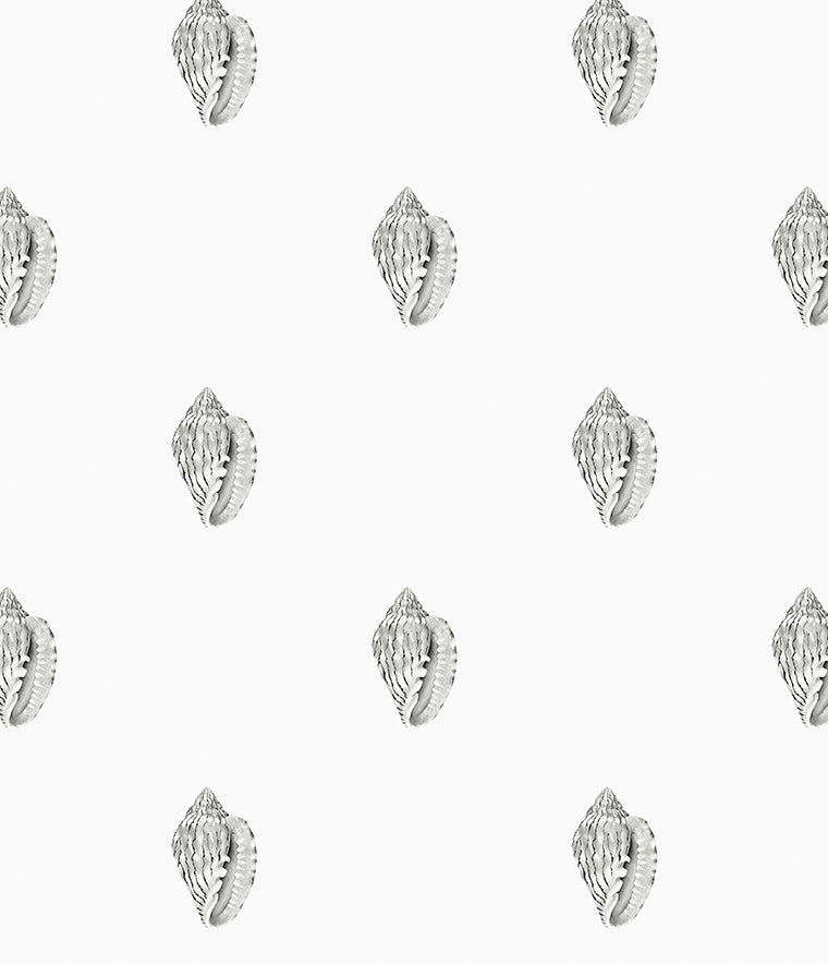 Careel Conch Wallpaper