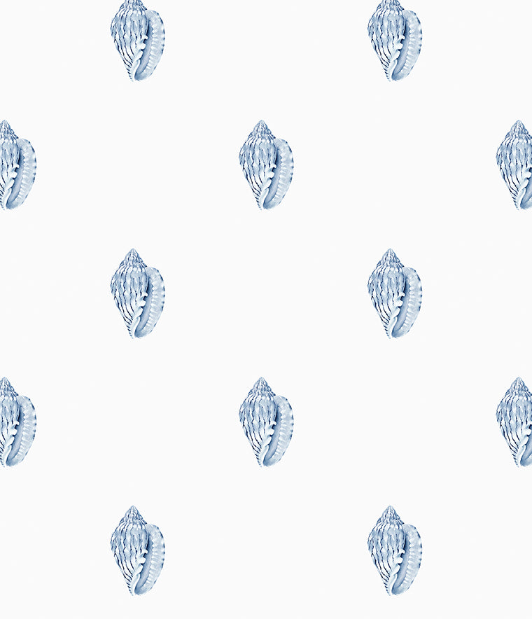 Careel Conch Wallpaper