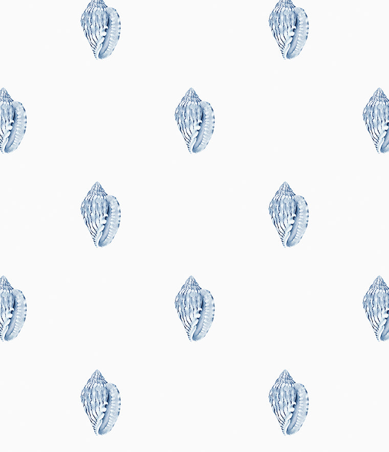 Careel Conch Wallpaper