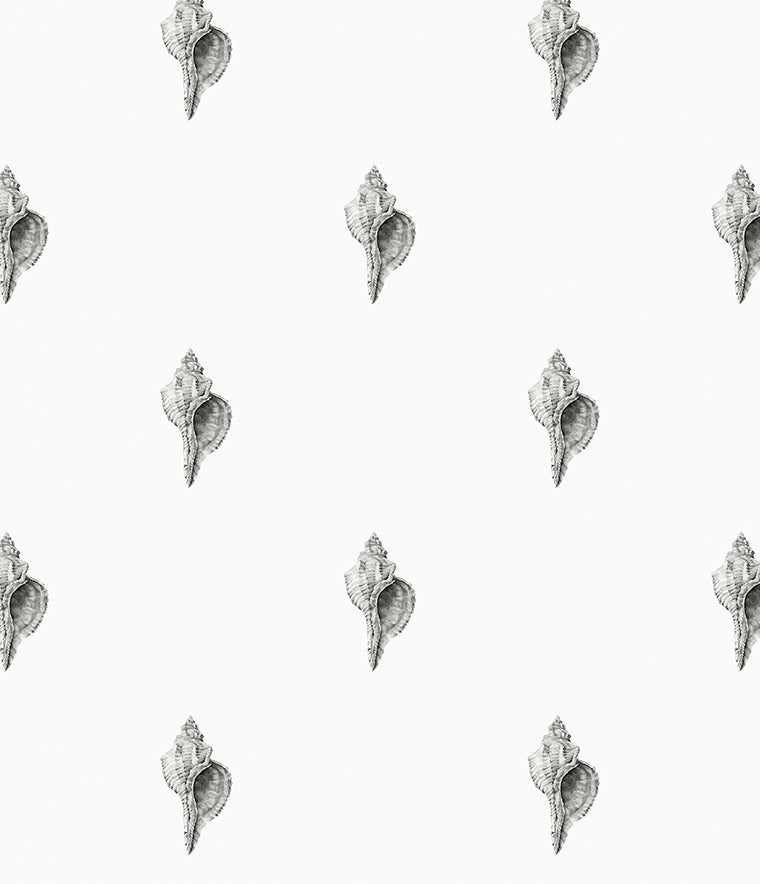 Careel Florida Wallpaper