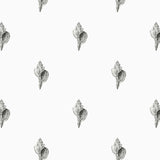 Careel Florida Wallpaper Mono / Paste the Wall | Non-Woven Matte / Sample