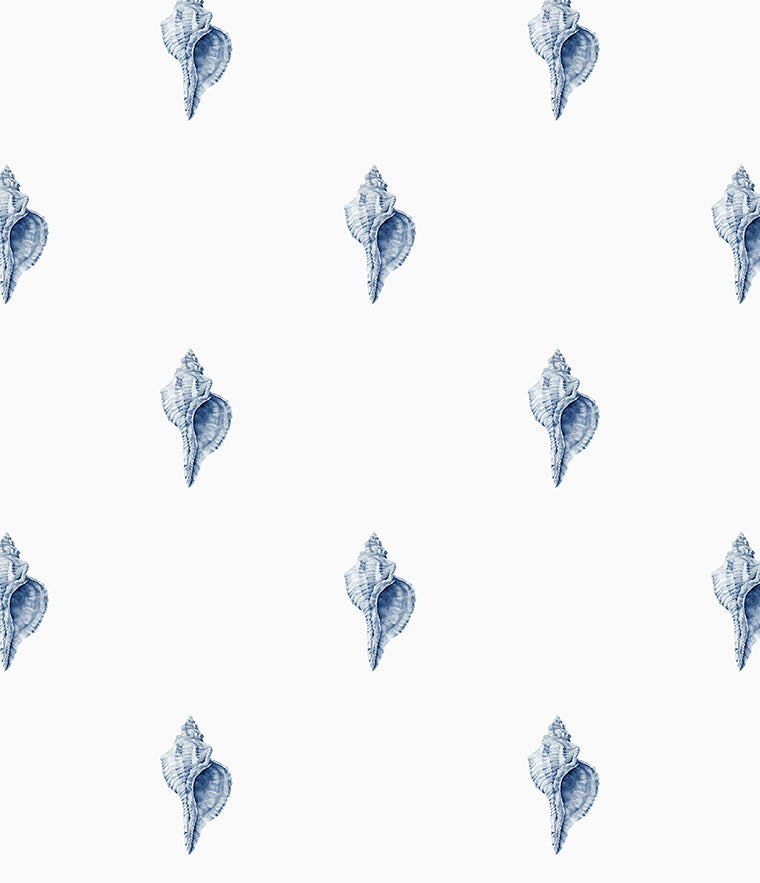 Careel Florida Wallpaper