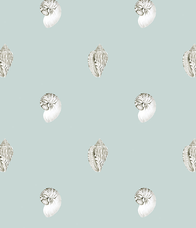 Careel Nautilus Wallpaper