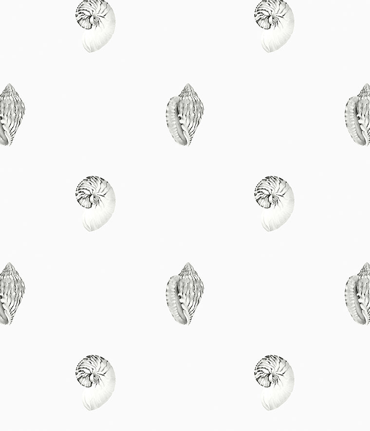 Careel Nautilus Wallpaper