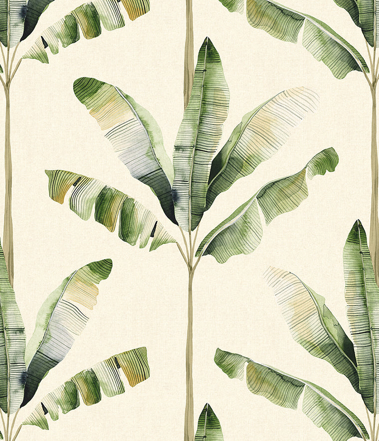 Haven Palm Wallpaper