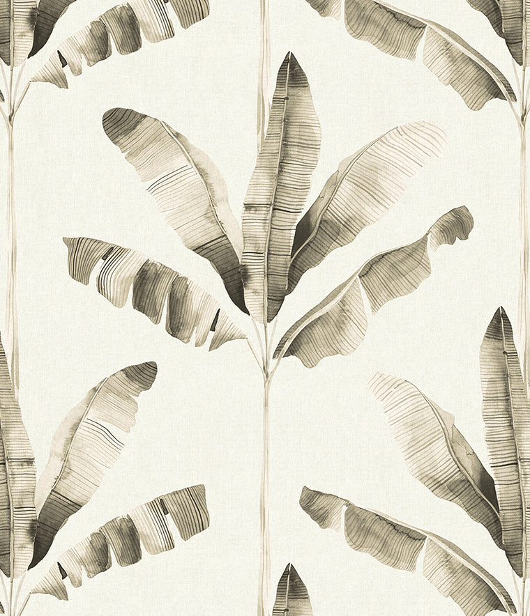 Haven Palm Wallpaper Earth / Paste the Wall | Non-Woven Matte / Sample