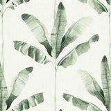 Haven Palm Wallpaper Fern / Paste the Wall | Non-Woven Matte / Sample