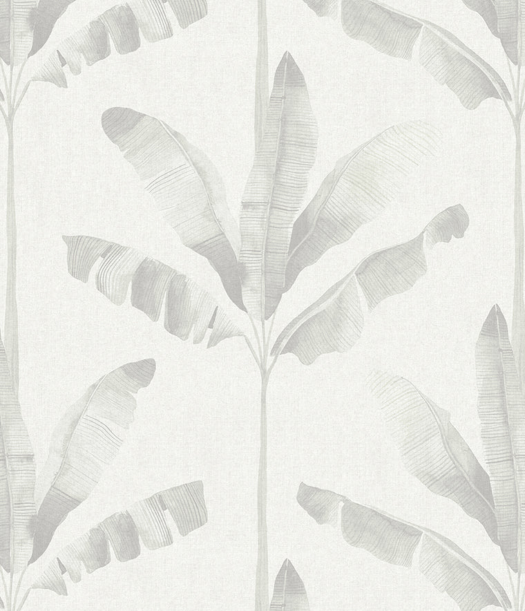 Haven Palm Wallpaper