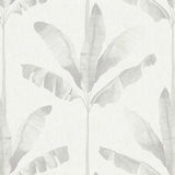 Haven Palm Wallpaper Haze / Paste the Wall | Non-Woven Matte / Sample