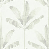Haven Palm Wallpaper Sage / Paste the Wall | Non-Woven Matte / Sample