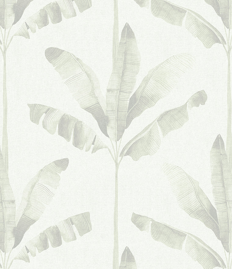 Haven Palm Wallpaper