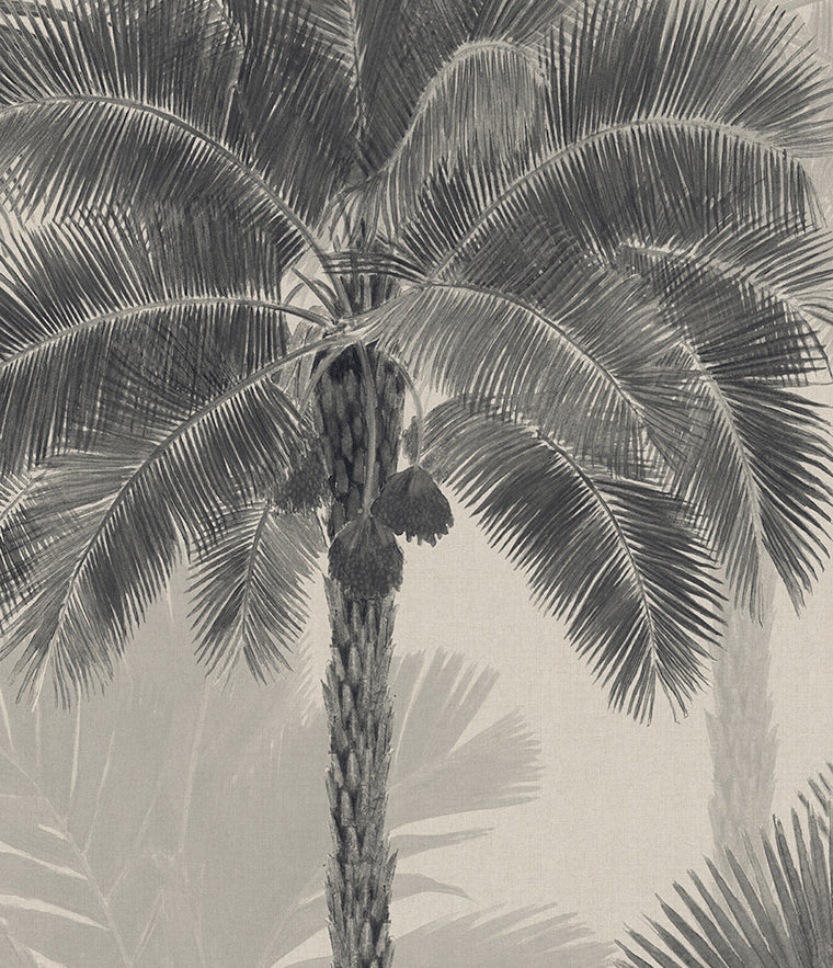 Kebaya Palm Wallpaper