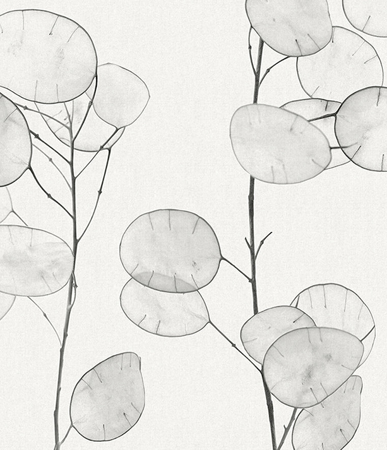 Kivu Seedpod Wallpaper Harbour / Paste the Wall | Non-Woven Matte / Sample