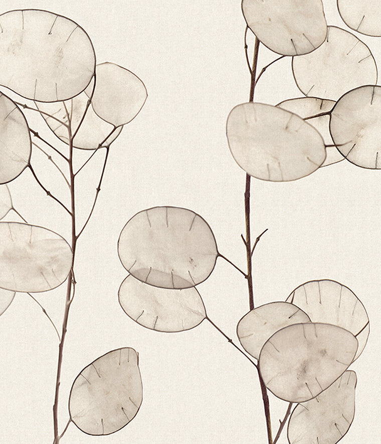 Kivu Seedpod Wallpaper Oat / Paste the Wall | Non-Woven Matte / Sample