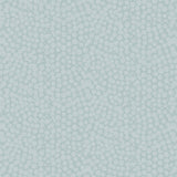 Natura Wallpaper Sky / Paste the Wall | Non-Woven Matte / Sample