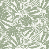Palm Tropico Wallpaper Olive / Paste the Wall | Non-Woven Matte / Sample
