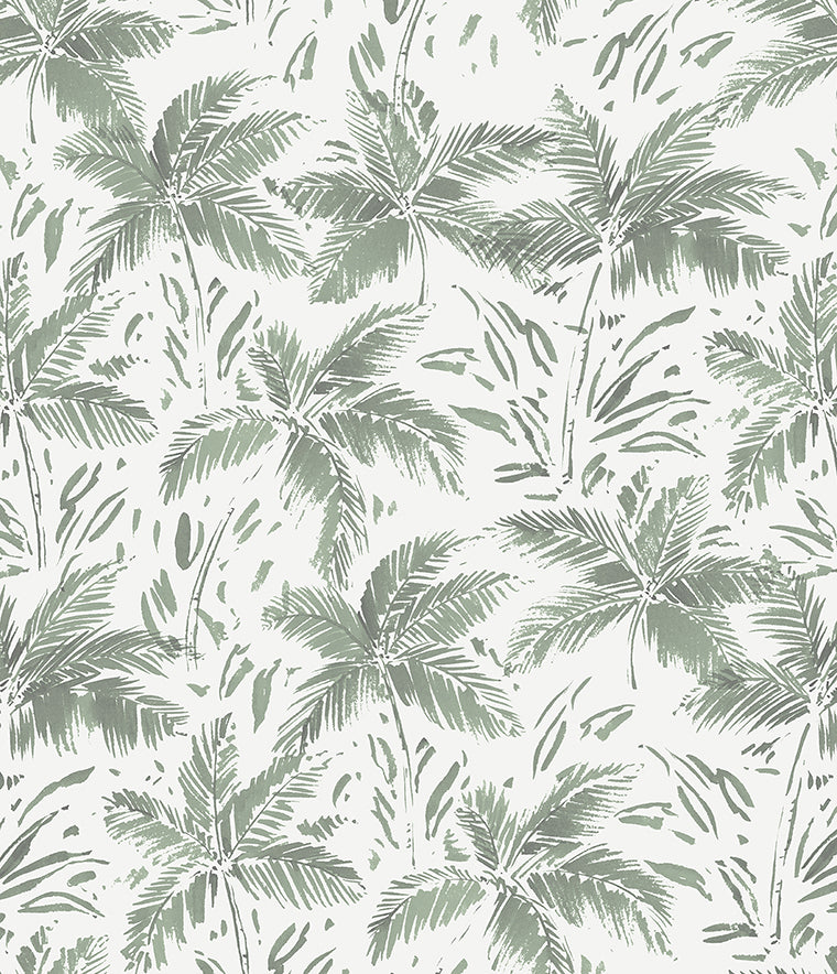 Palms Retreat Wallpaper