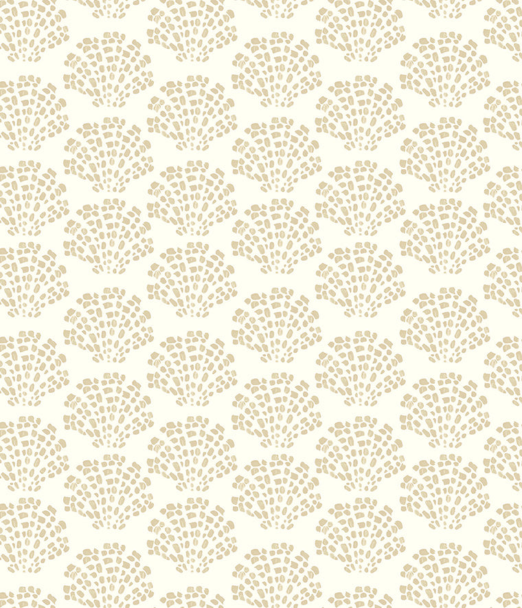 Scallop Shell Wallpaper