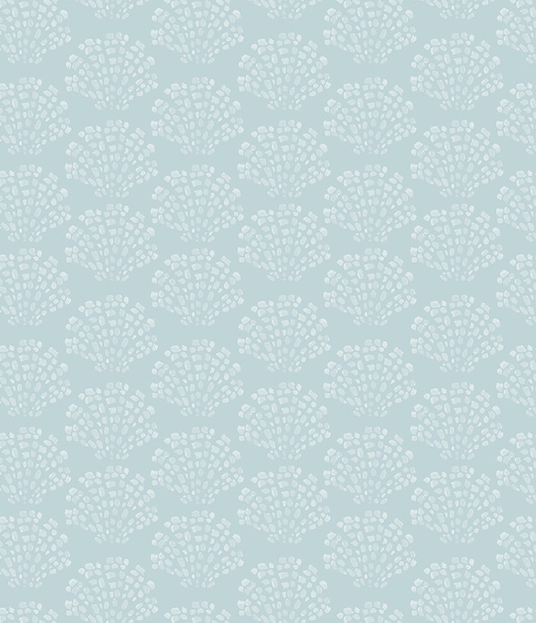 Scallop Shell Wallpaper