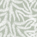 Weathered Fern Wallpaper Sage / Paste the Wall | Non-Woven Matte / Sample