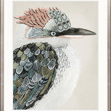 Yanbury Bird IX