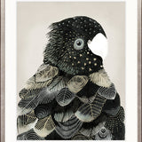 Yanbury Bird XI