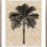 Yasawa Palm I