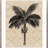 Yasawa Palm III