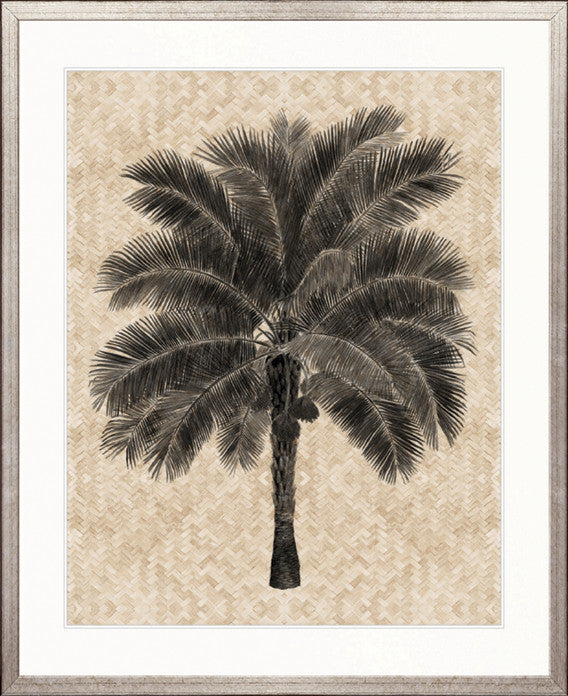 Yasawa Palm V