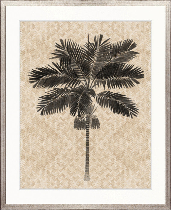 Yasawa Palm VI