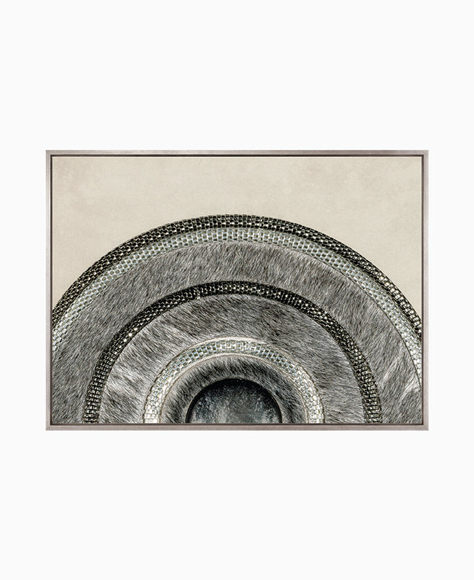 Concentric Circle Print IV (Canvas)