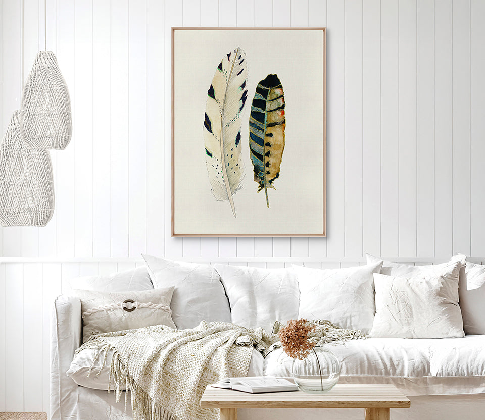 Feather Delight VI (Canvas)