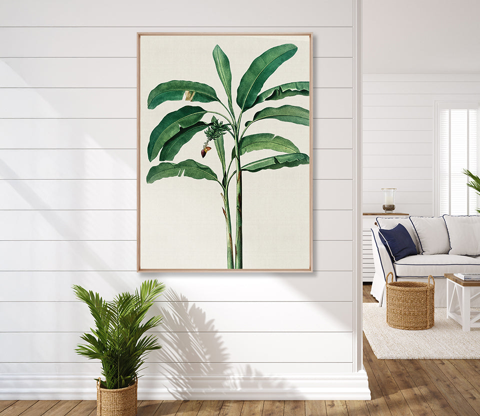 Lush Tropic III (Canvas)