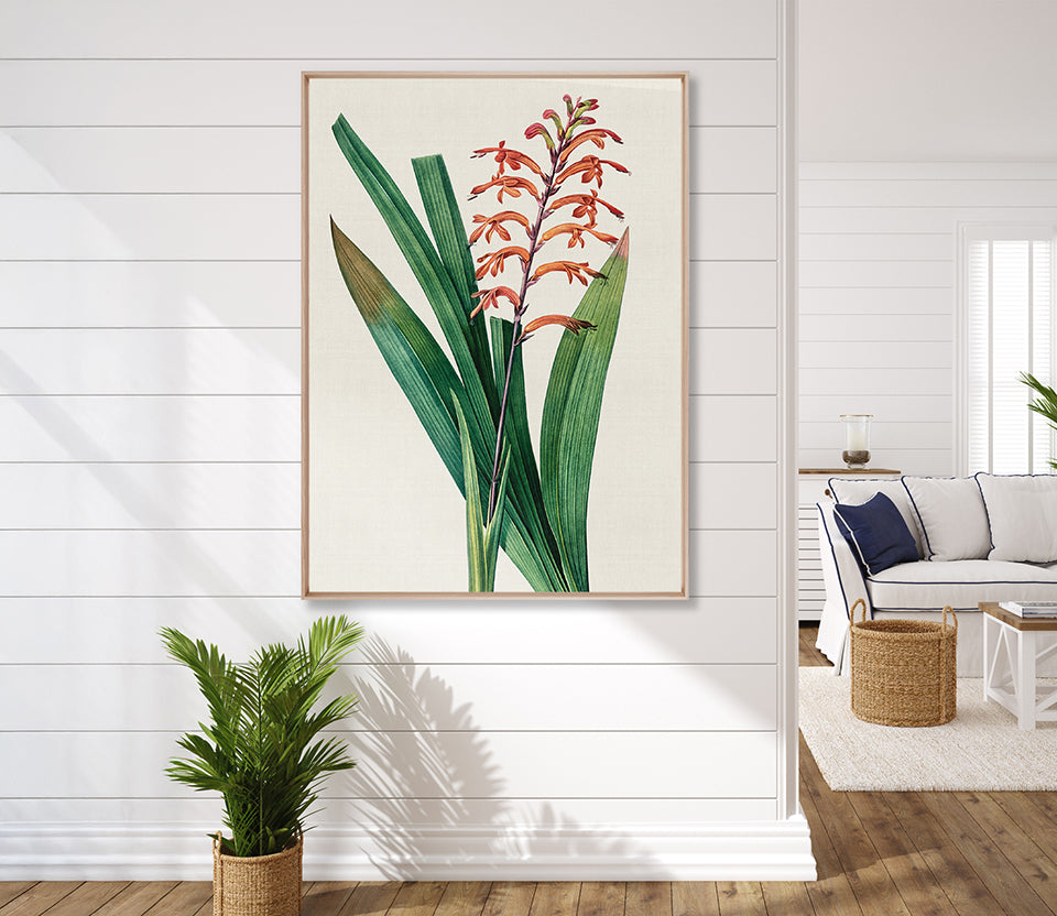 Lush Tropic V (Canvas)