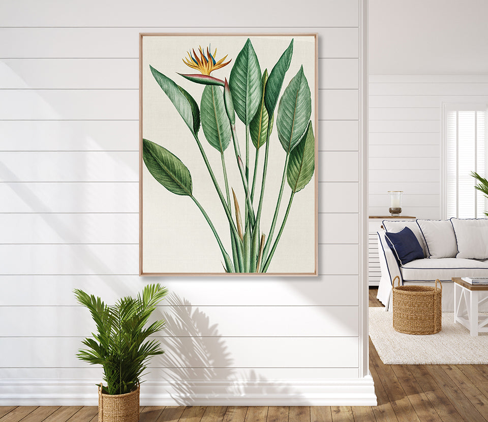 Lush Tropic VI (Canvas)