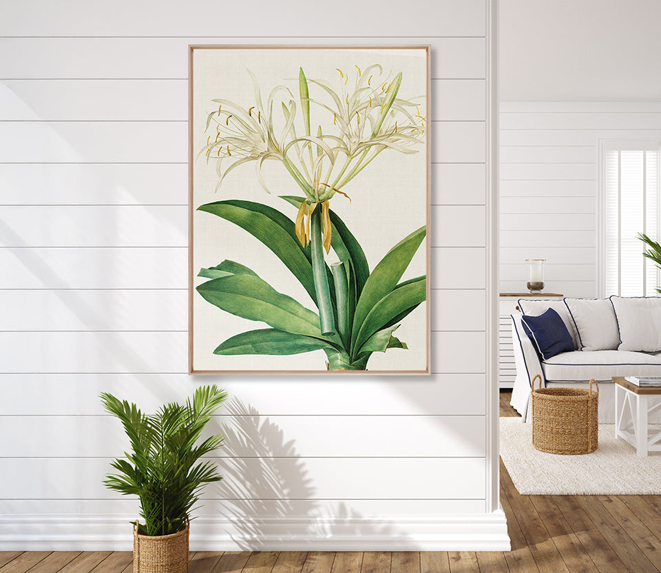 Lush Tropic VII (Canvas)