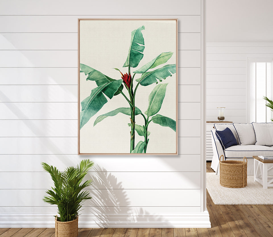 Lush Tropic IX (Canvas)
