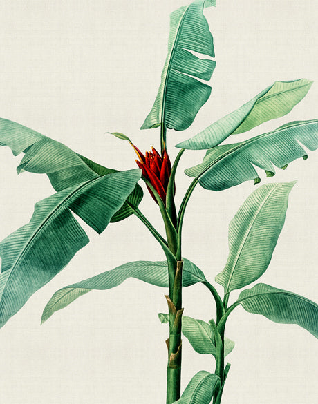 Lush Tropic IX (Canvas)