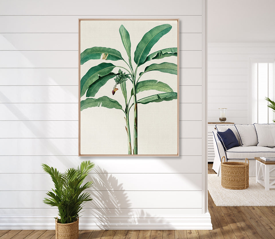 Lush Tropic XII (Canvas)
