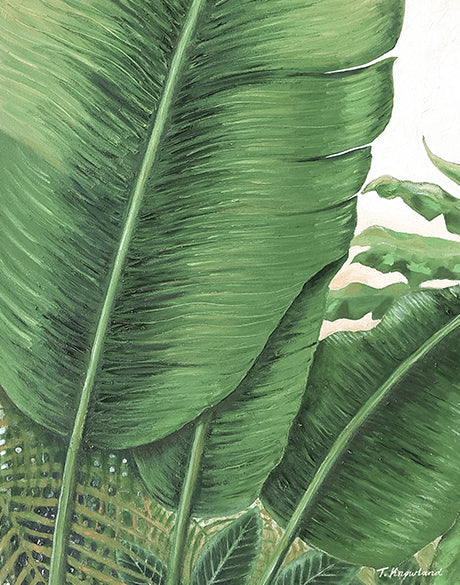 Evergreen Foliage I