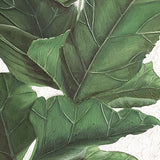 amara04_3